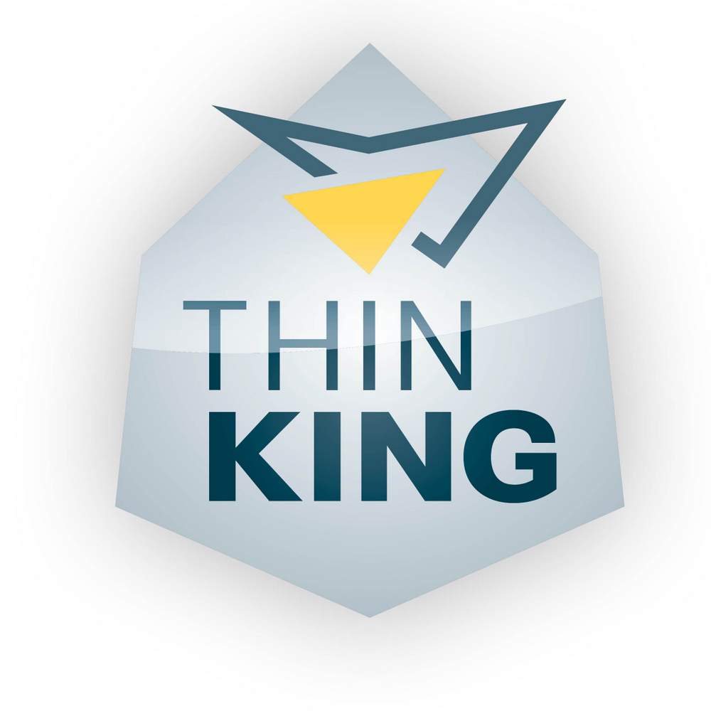 ThinKing Logo Leichtbau BW